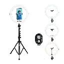 01901625-394f-729f-bb8f-fbb2edd8be3b.webp
