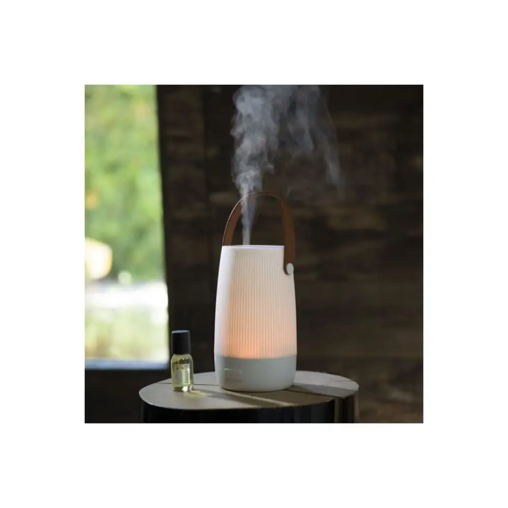 diffuseur-brume-de-parfum-electrique (1).webp