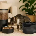 distributeur-de-croquettes-automatique-et-fontaine-a-eau (3).webp