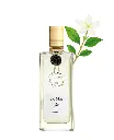 Eau d'_t_ - Jasmin.webp