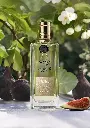 fig tea lifestyle 1.webp